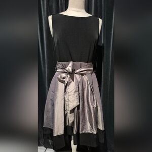 SL Fashions Black and Silver Dress